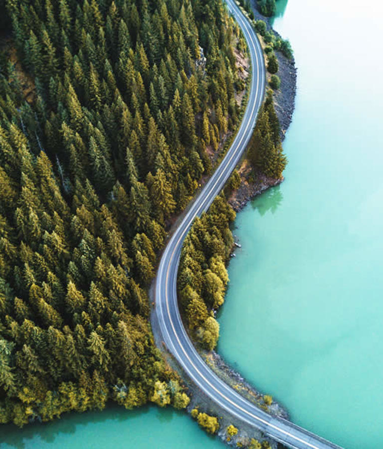 Parallax Road In Forest