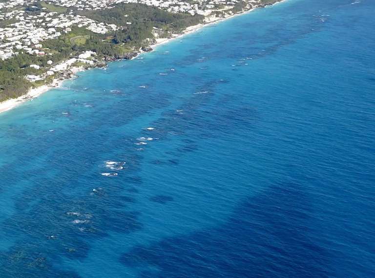 Bermuda People Profile Hero 2880 X 1200 Smaller