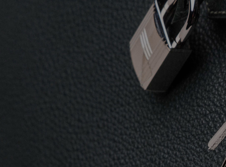 Luxury Handbag Header 1