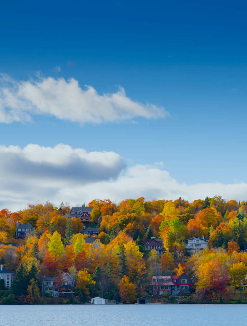 Hero Lake Houses