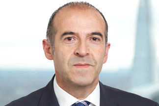 Dom Provenzano Web